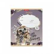 Тетрадь школьная ученическая ErichKrause Dreamy Owl, 12 листов, линейка (в плёнке по 10 шт.)