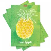 Тетрадь общая ученическая с пластиковой обложкой на скобе ErichKrause Fresh, Mixed Reality, ассорти, А4, 48 листов, клетка