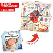 Книжка-трансформер. Анатомия