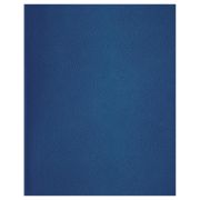 Тетрадь 48л., А4 клетка BG, бумвинил, синий