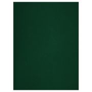 Тетрадь 48л., А4 клетка BG, бумвинил, зеленый