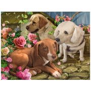 Алмаз мозаика (клас.) 30х40 см, с подр., с полн. заполн. (32 цв.) Три друга (Арт. НД-8575)