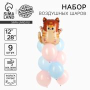 Шары воздушные, набор «Котик в шапке», фольга, латекс, 9 шт.