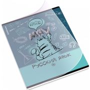 Тетрадь общая ученическая с пластиковой обложкой на скобе ErichKrause Котоформулы, Русский язык, 48 листов, линейка