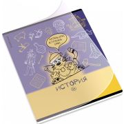 Тетрадь общая ученическая с пластиковой обложкой на скобе ErichKrause Котоформулы, История, 48 листов, клетка