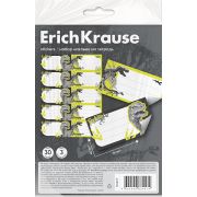 Наклейки на тетрадь ErichKrause Dinosaur Park, 3 листа, в пакете с европодвесом