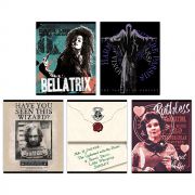 76447 Тетрадь «Гарри Поттер», формат А5, клетка, 48 листов, на скрепке, внутренний блок офсет 60-65 г, 92% белизна, обложка мелованный картон+софт-тач, скругленные углы, 5 дизайнов