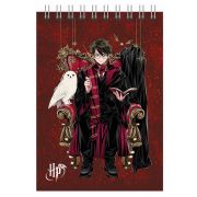 77156 Блокнот «Гарри Поттер», формат А5, 60 листов, блок-офсет, целлюлозный картон 200 гр/м2, в клетку, размер 141*201 мм