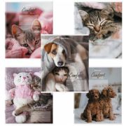 Тетрадь 24 л. BRAUBERG клетка, обложка картон, «ПИТОМЦЫ», 106485