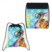 Мешок для обуви «Best friend», 35х42см, 1 отд. /1 /0 /0 /50