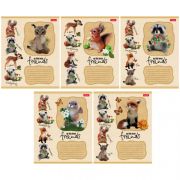 Тетрадь 12л линия Хатбер Мимимишки 18064