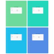 Тетрадь 12л., линия BG «Школьная», эконом