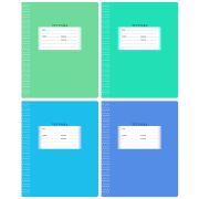 Тетрадь 12л., частая косая линия BG «Школьная», эконом