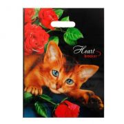 Пакет ПВД «Тико,Кот» проруб.ручка,31*40