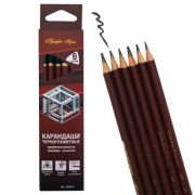 Набор карандашей ч/гр 2Н,НВ,В,2В,4В,6В заточенные, трехгр. ,набор 6шт 9808-6 Профи-Арт