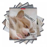 Тетрадь общая ученическая ErichKrause® Chillout, 48 листов, клетка, матовая ламинация_MIX-PACK