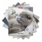 Тетрадь общая ученическая ErichKrause® Be Relaxed, 48 листов, клетка, матовая ламинация_MIX-PACK