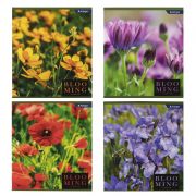 Тетрадь 48л., А5, клетка, Alingar «Blooming», скрепка, мелованный картон (эконом), 4 дизайна в пленке т/у