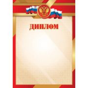 Диплом эконом с госсимволикой