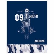 Дневник 1-11 класс 40 л., на скобе, ПИФАГОР, обложка картон, «Драйв», 106340