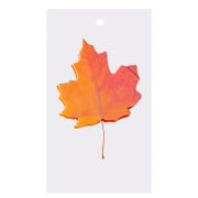 Флажки-закладки с клеевым краем, Alingar, «Листочки», в уп. 12 наборов по 20 л., 58 мм х 49 мм, ассорти, пакет европодвес