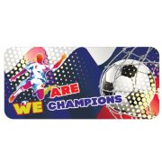 Пенал 1отд, Пчёлка 200*90*40 ткань двухстор. «Мы чемпионы» К-10