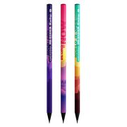 Карандаш ч/г Berlingo «Scenic» HB, круглый, заточен., ассорти