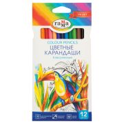 Карандаши цветные Гамма «Классические», 12цв., заточен., картон. упаковка, европодвес