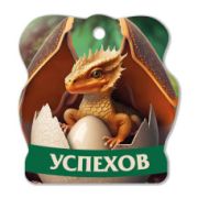 Магнит фигурный Успехов
