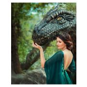 Алмаз мозаика (класс.) 30х40 см, с подр., с полн. заполн. (27 цв.) Принцесса драконов (Арт. НД-8572)