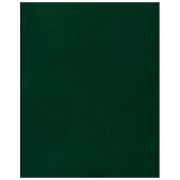 Тетрадь 96л., А4 клетка BG, бумвинил, зеленый, суперэконом