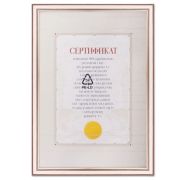 Рамка бизнес класс 40*60 пластик золото